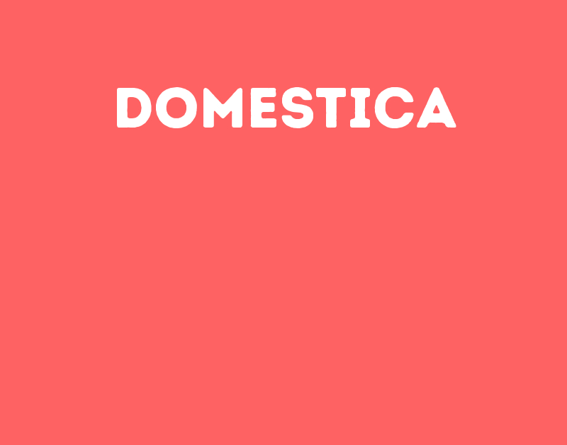 Domestica-São José Dos Campos - Sp 1