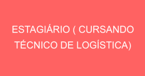 Estagiário ( Cursando Técnico De Logística)-Jacarei - Sp 3