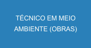 Técnico Em Meio Ambiente (Obras) 7