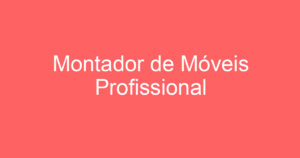 Montador de Móveis Profissional 15