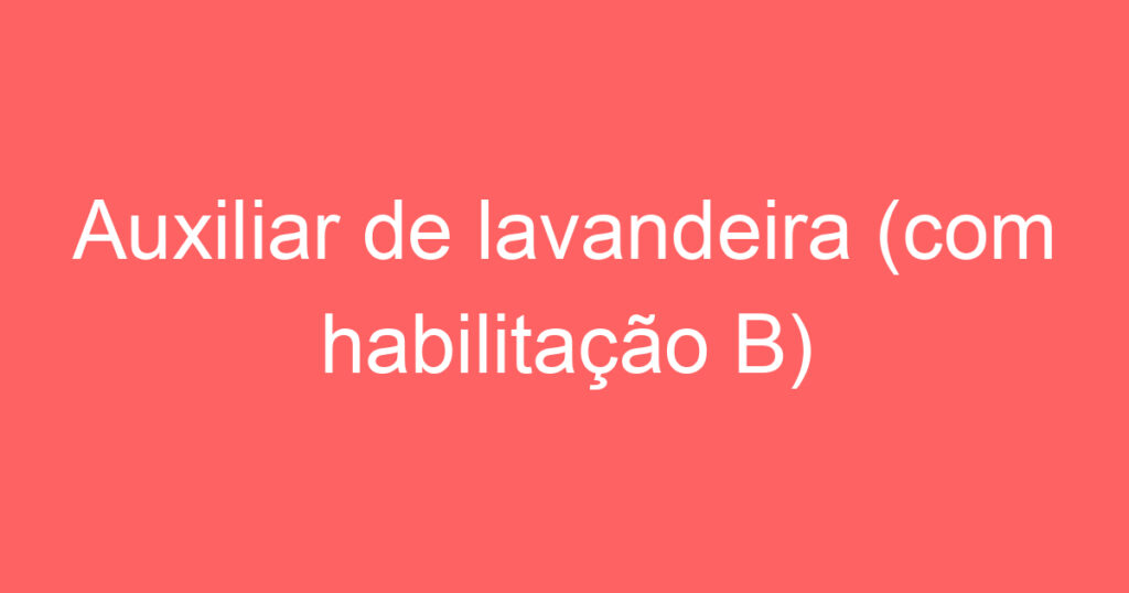 Auxiliar de lavandeira (com habilitação B) 1