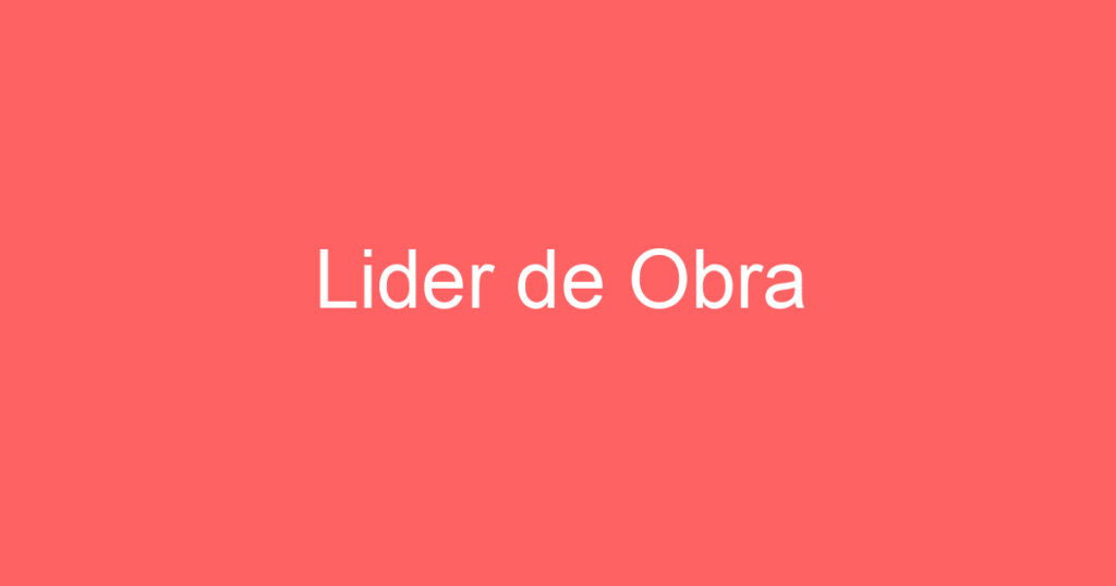 Lider de Obra 1