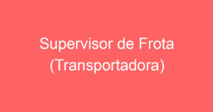 Supervisor de Frota (Transportadora) 4