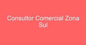 Consultor Comercial Zona Sul 10