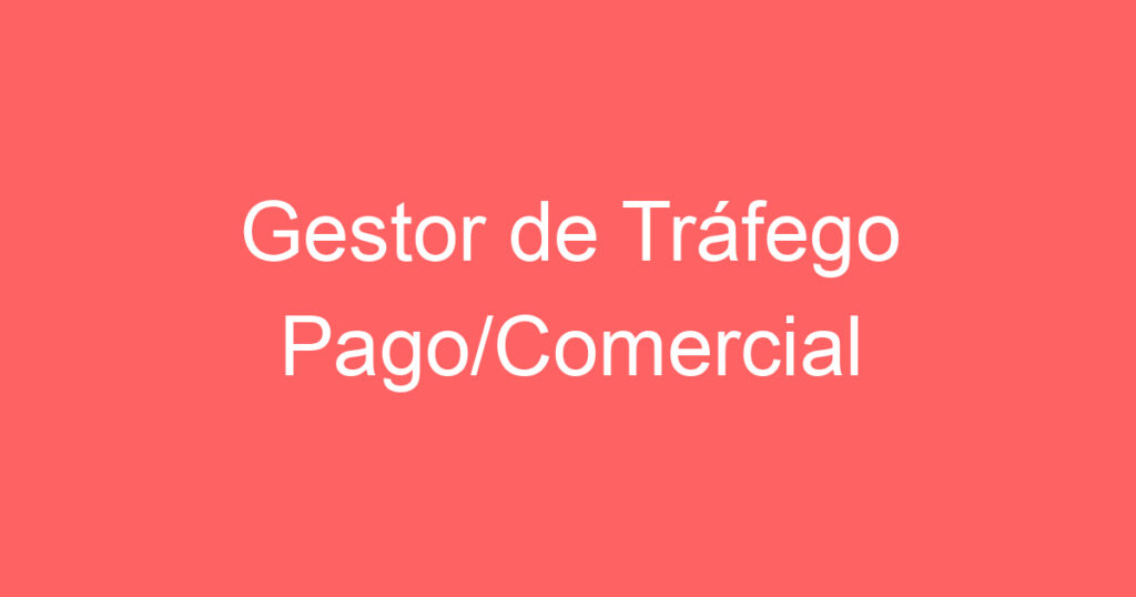 Gestor de Tráfego Pago/Comercial 1