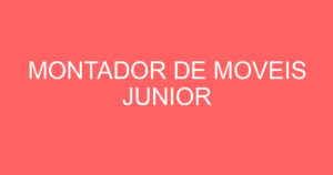 MONTADOR DE MOVEIS JUNIOR 5