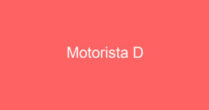 Motorista D 13