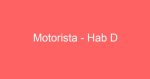 Motorista - Hab D 9