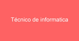 Técnico de informatica 12