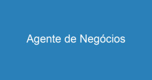 Agente de Negócios 11