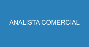 ANALISTA COMERCIAL 12