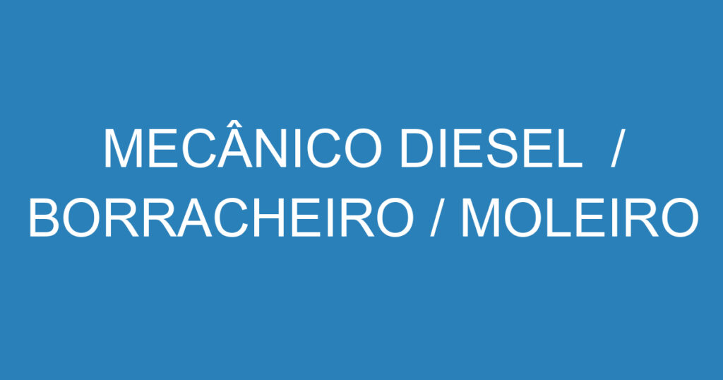MECÂNICO DIESEL / BORRACHEIRO / MOLEIRO 1