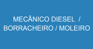 MECÂNICO DIESEL / BORRACHEIRO / MOLEIRO 3