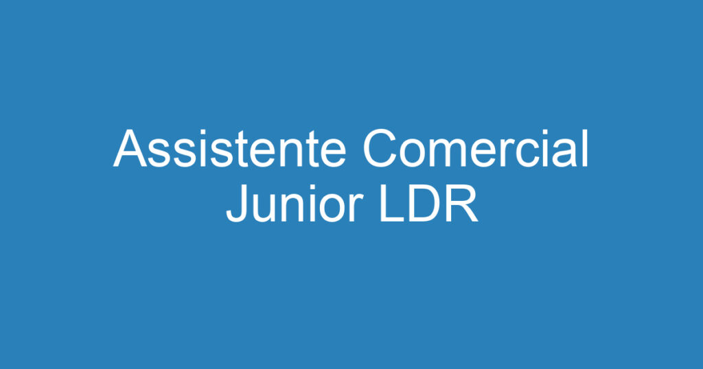 Assistente Comercial Junior LDR 1