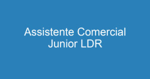 Assistente Comercial Junior LDR 13