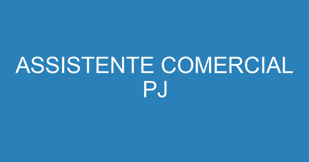 ASSISTENTE COMERCIAL PJ 1