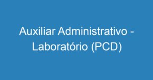 Auxiliar Administrativo - Laboratório (PCD) 14