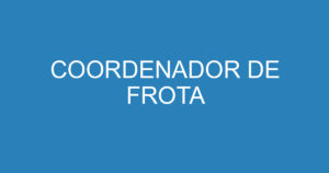 COORDENADOR DE FROTA 15