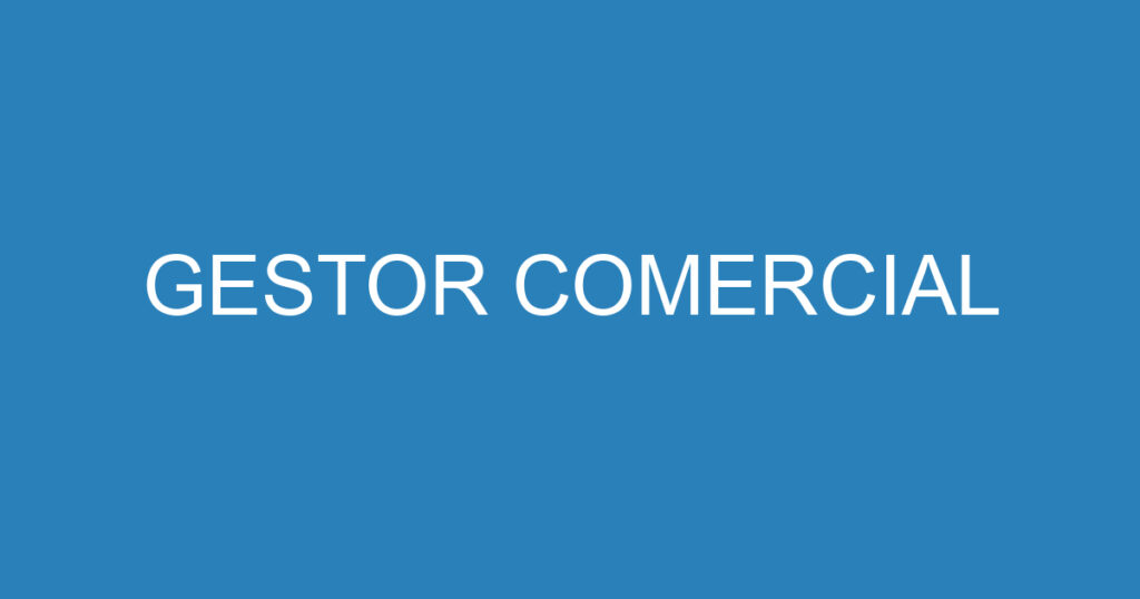 GESTOR COMERCIAL 1