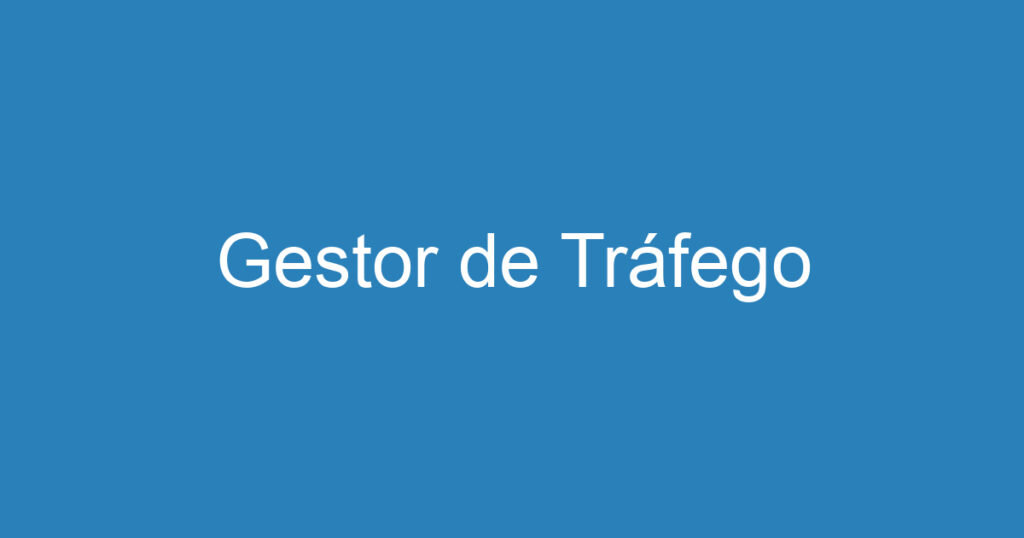 Gestor de Tráfego Pago 1