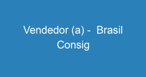 Vendedor (a) - Brasil Consig 9