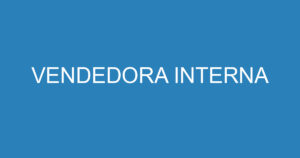 VENDEDORA INTERNA 2