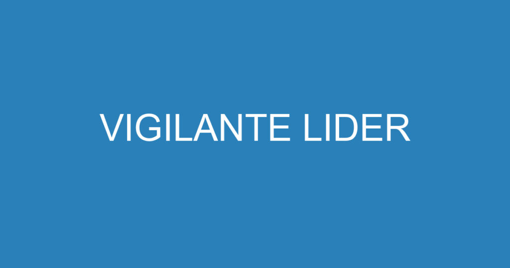 VIGILANTE LIDER 1