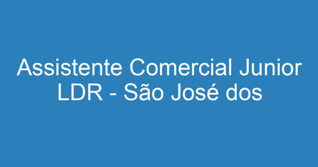 Assistente Comercial Junior LDR - São José dos Campos SP 1