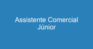 Assistente Comercial Júnior 11