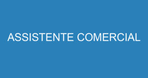 ASSISTENTE COMERCIAL 9