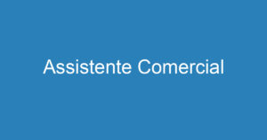 Assistente Comercial 13