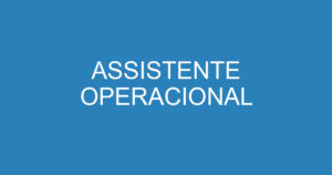 ASSISTENTE OPERACIONAL 11