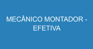 MECÂNICO MONTADOR - EFETIVA 5