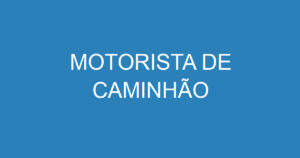 MOTORISTA DE CAMINHÃO 3