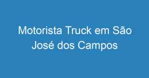 Motorista Truck em São José dos Campos 15