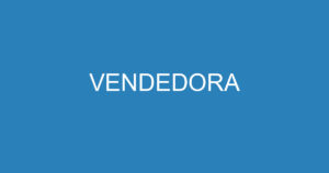 VENDEDORA 2