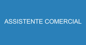 ASSISTENTE COMERCIAL 8