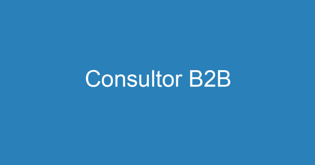 Consultor B2B 1