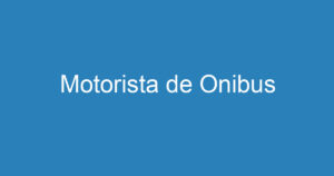 Motorista de Onibus 8