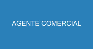 AGENTE COMERCIAL 12