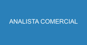 ANALISTA COMERCIAL 9