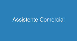 Assistente Comercial 13