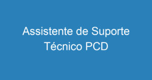 Assistente de Suporte Técnico PCD 6