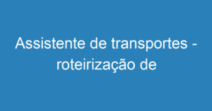 Assistente de transportes - roteirização de frota 6