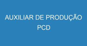 AUXILIAR DE PRODUÇÃO PCD 4