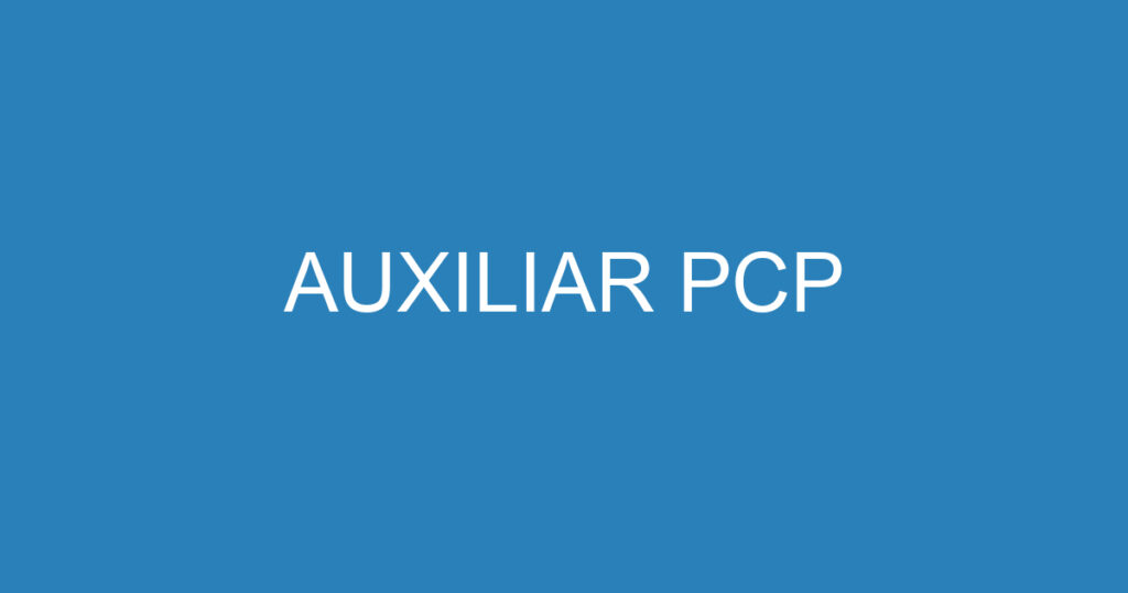 AUXILIAR PCP 1