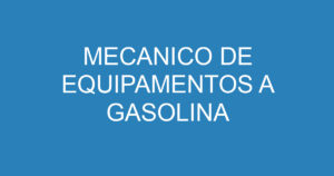 MECANICO DE EQUIPAMENTOS A GASOLINA 7