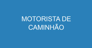 MOTORISTA DE CAMINHÃO 11