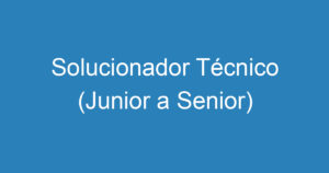 Solucionador Técnico (Junior a Senior) 15