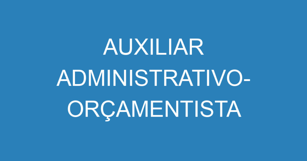 AUXILIAR ADMINISTRATIVO- ORÇAMENTISTA 1